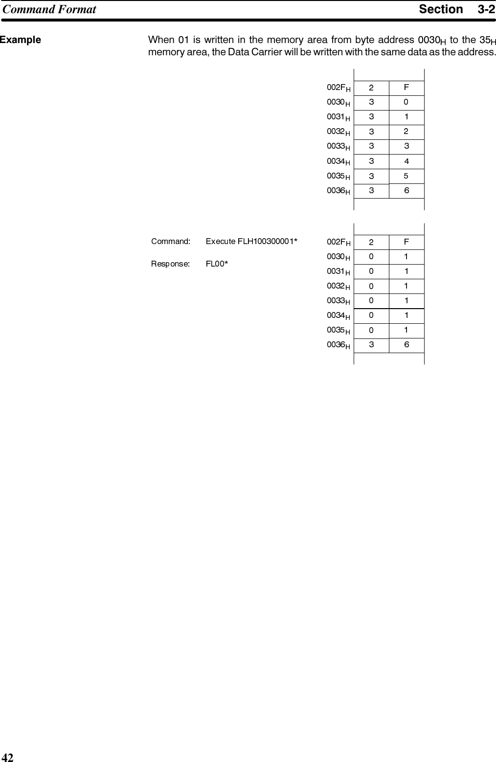 6HFWLRQ&amp;RPPDQG )RUPDW:KHQ  LV ZULWWHQ LQ WKH PHPRU\ DUHD IURP E\WH DGGUHVV  WR WKH PHPRU\ DUHD WKH &apos;DWD &amp;DUULHU ZLOO EH ZULWWHQ ZLWK WKH VDPH GDWD DV WKH DGGUHVV([DPSOH