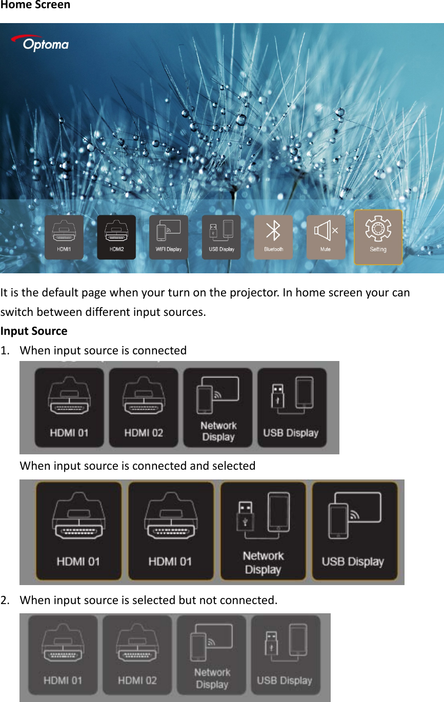 HomeScreenItisthedefaultpagewhenyourturnontheprojector.Inhomescreenyourcanswitchbetweendifferentinputsources.InputSource1. WheninputsourceisconnectedWheninputsourceisconnectedandselected2. Wheninputsourceisselectedbutnotconnected.