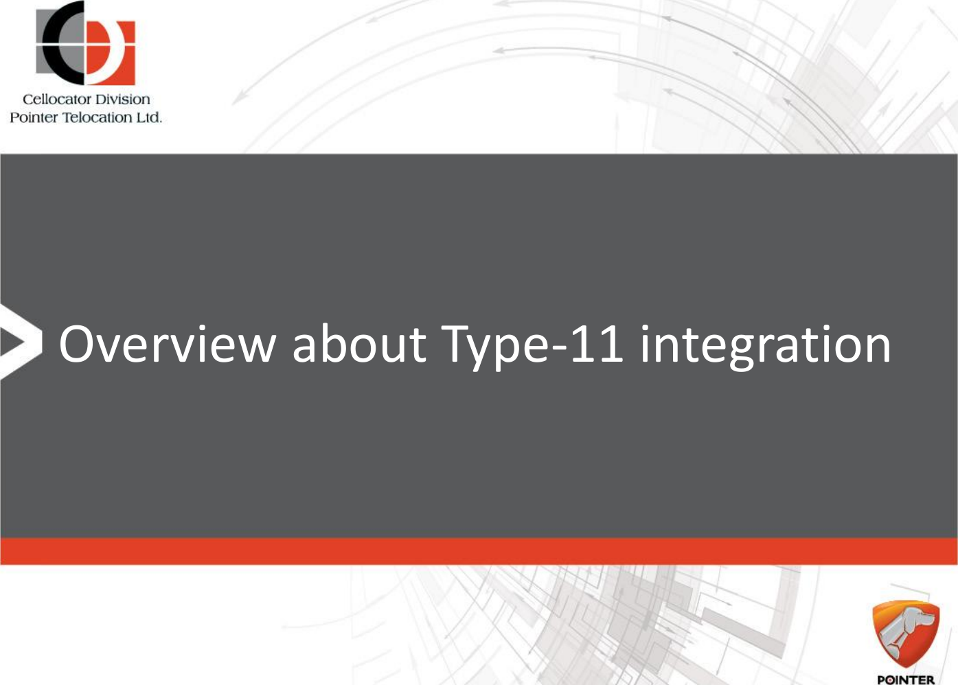 Overview about Type-11 integration 
