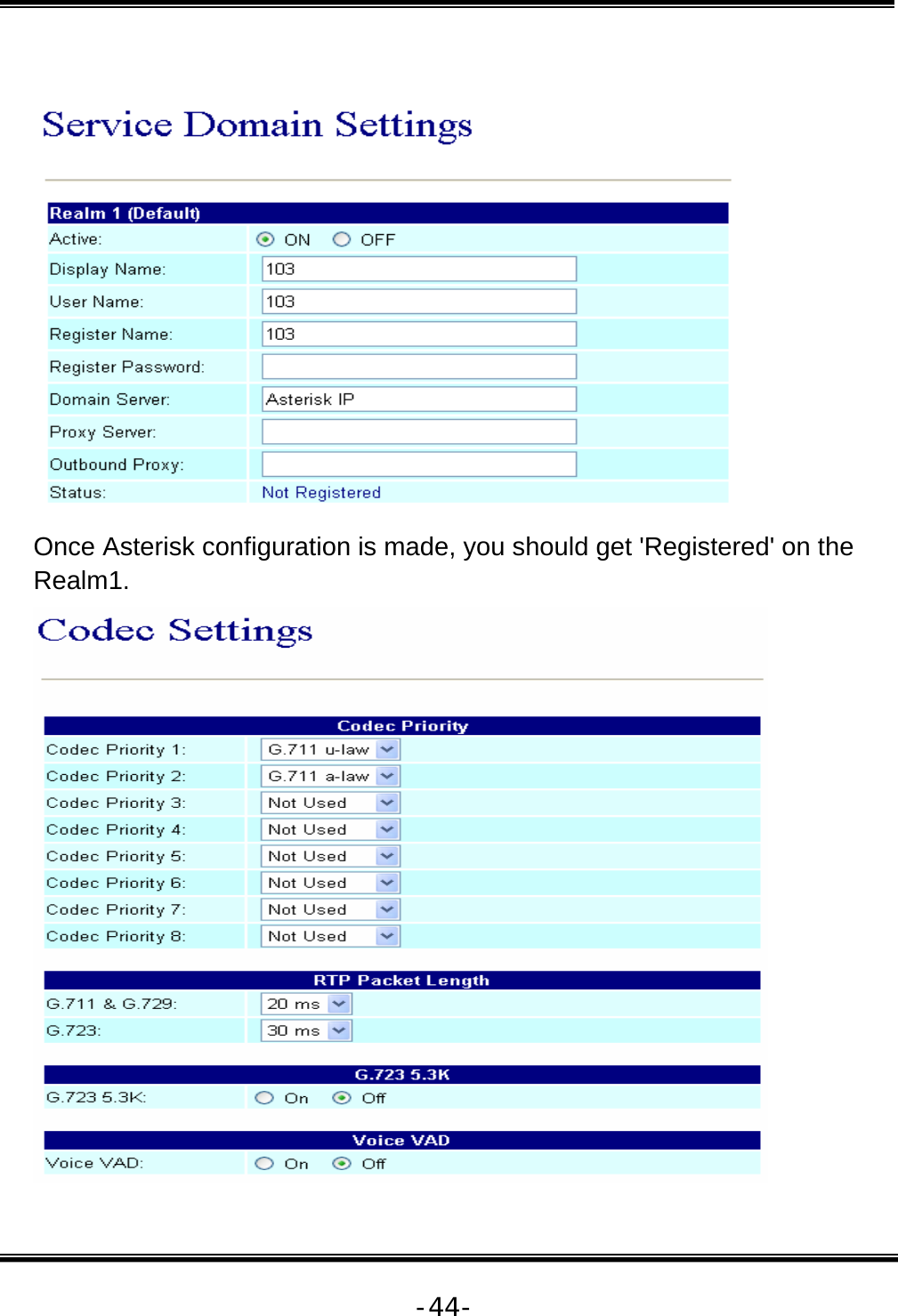   -44-   Once Asterisk configuration is made, you should get &apos;Registered&apos; on the Realm1.   