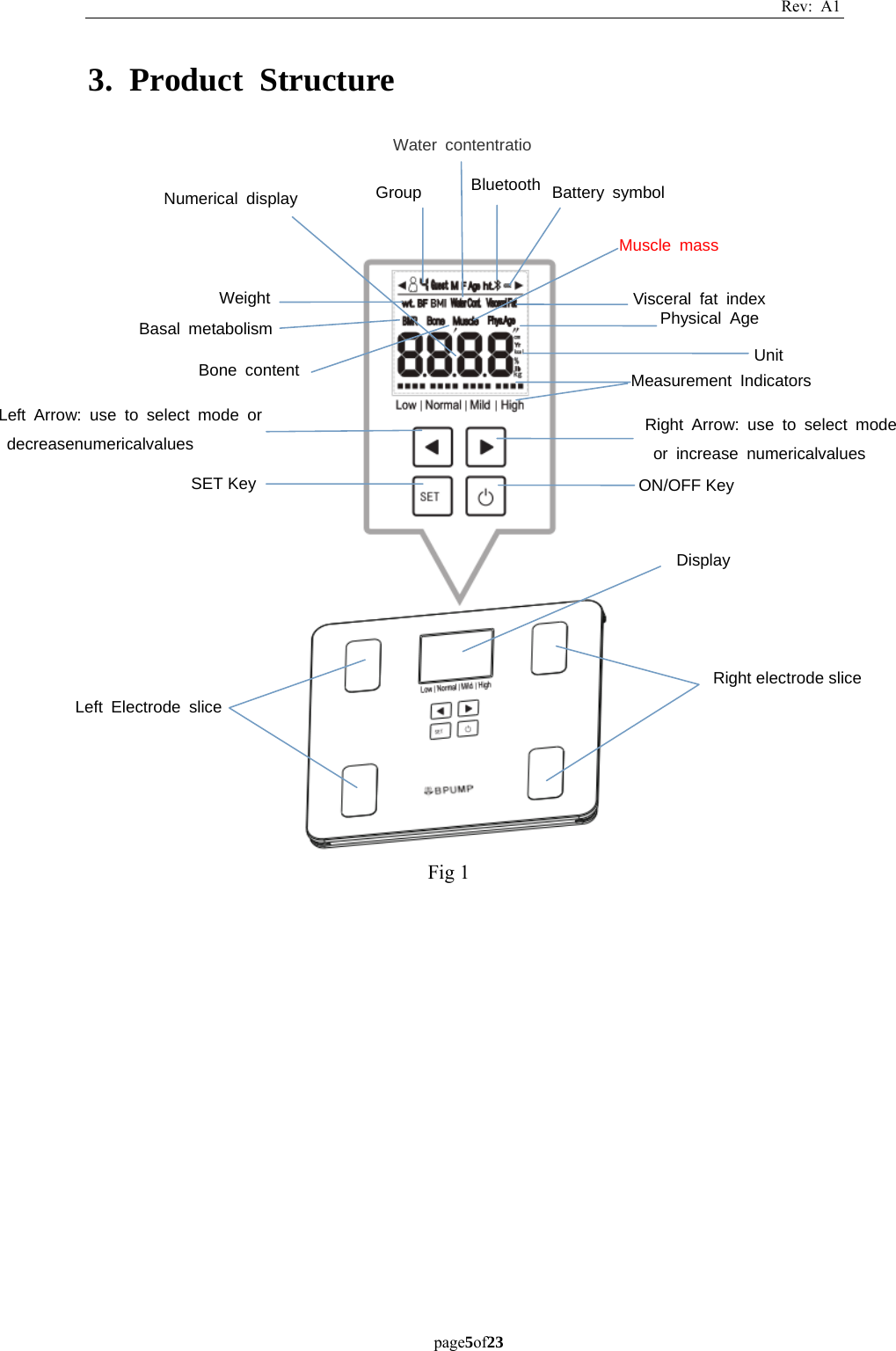 Rev: A1 page5of23  3. Product Structure                               Fig 1 Right electrode slice Left Electrode slice Display ON/OFF Key SET Key Right Arrow: use to select mode or increase numericalvalues  Left Arrow: use to select mode or decreasenumericalvalues  Visceral fat index Physical Age Bluetooth Battery symbol Group Measurement Indicators Unit Weight Basal metabolism Bone content Water contentratio Muscle mass Numerical display 