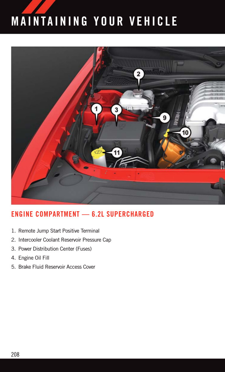 ENGINE COMPARTMENT — 6.2L SUPERCHARGED1. Remote Jump Start Positive Terminal2. Intercooler Coolant Reservoir Pressure Cap3. Power Distribution Center (Fuses)4. Engine Oil Fill5. Brake Fluid Reservoir Access CoverMAINTAINING YOUR VEHICLE208