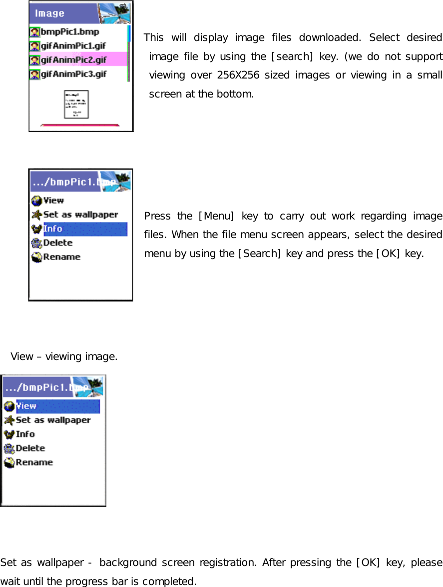  This will display image files downloaded. Select desired image file by using the [search] key. (we do not support viewing over 256X256 sized images or viewing in a small screen at the bottom.   Press the [Menu] key to carry out work regarding image files. When the file menu screen appears, select the desired menu by using the [Search] key and press the [OK] key.   View – viewing image.     Set as wallpaper - background screen registration. After pressing the [OK] key, please wait until the progress bar is completed. 