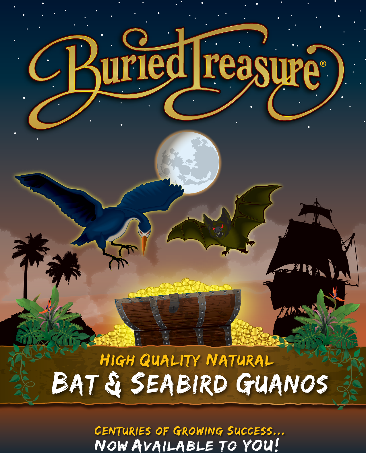 960810 buried treasure