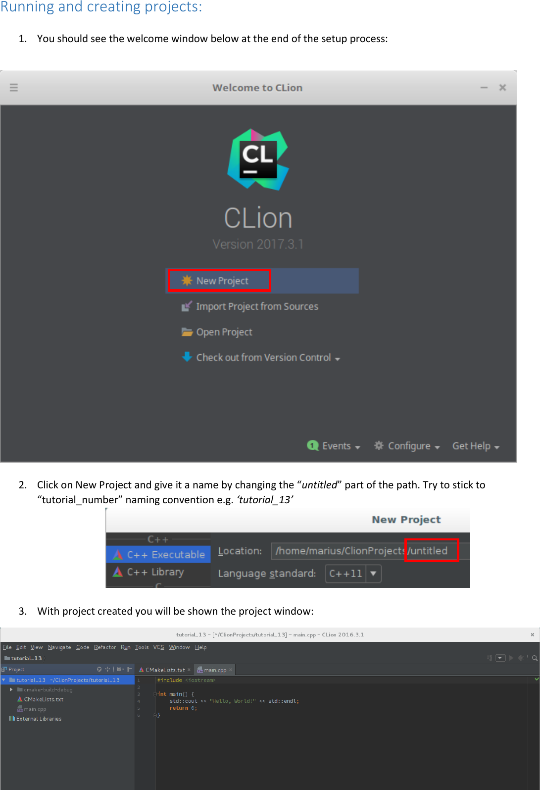Page 7 of 8 - Clion Linux Setup Guide