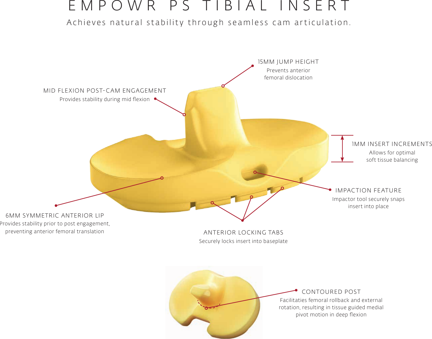 Page 6 of 8 - Empowr Knee System Features Brochure