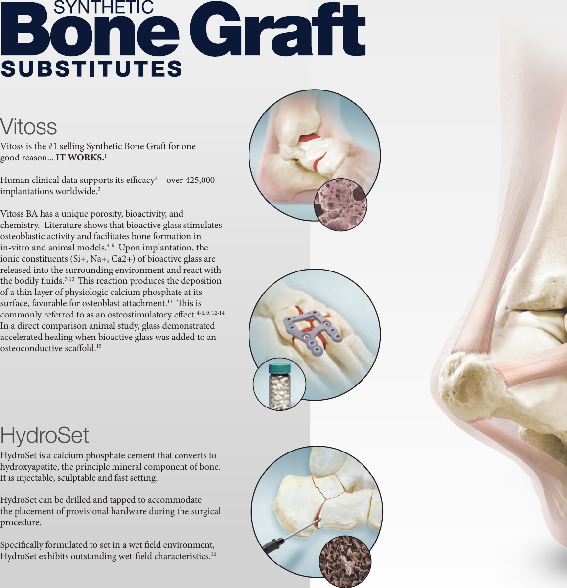 Page 2 of 8 - Foot And Ankle Biologic Solutions 1