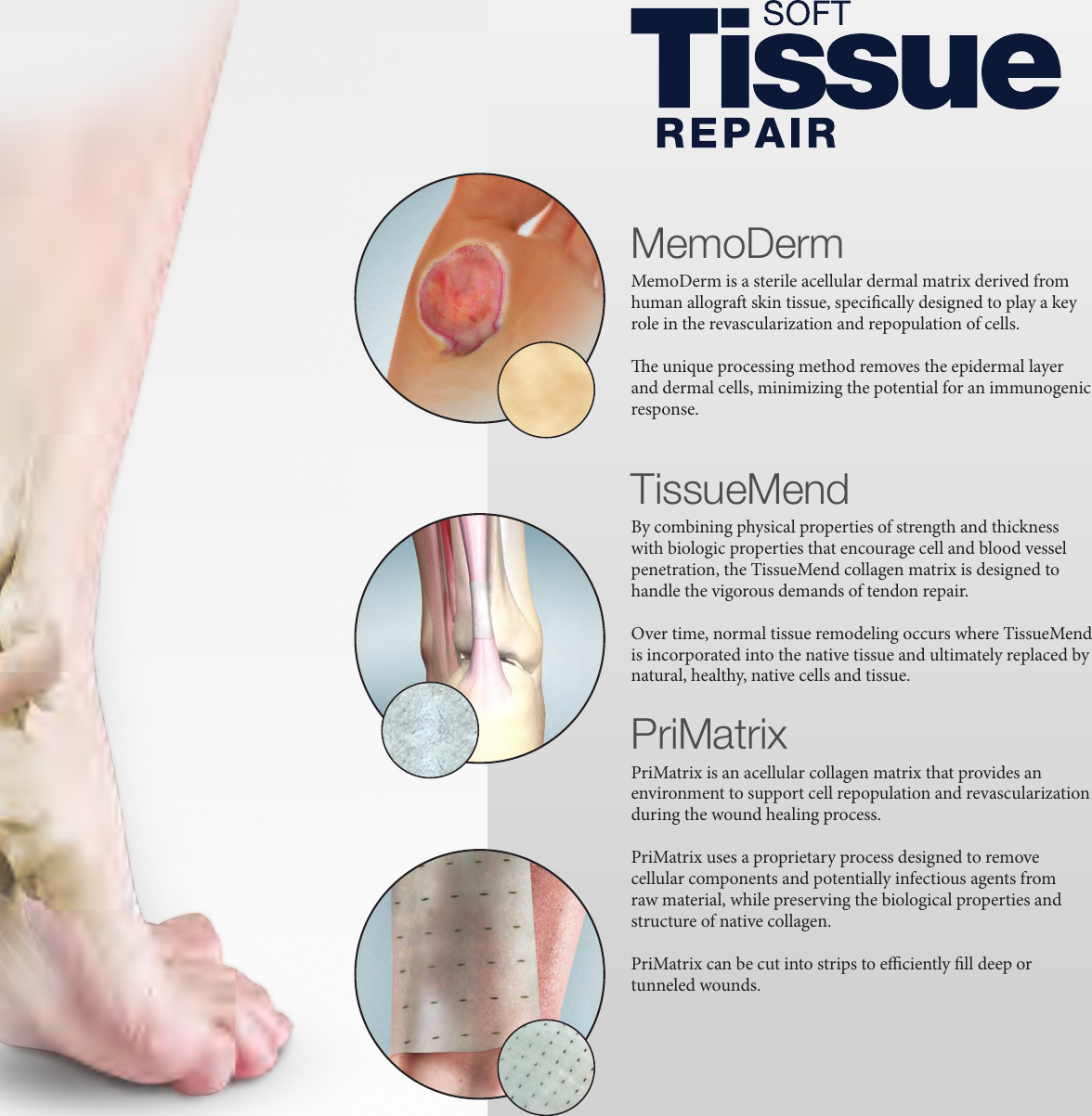 Page 3 of 8 - Foot And Ankle Biologic Solutions 1