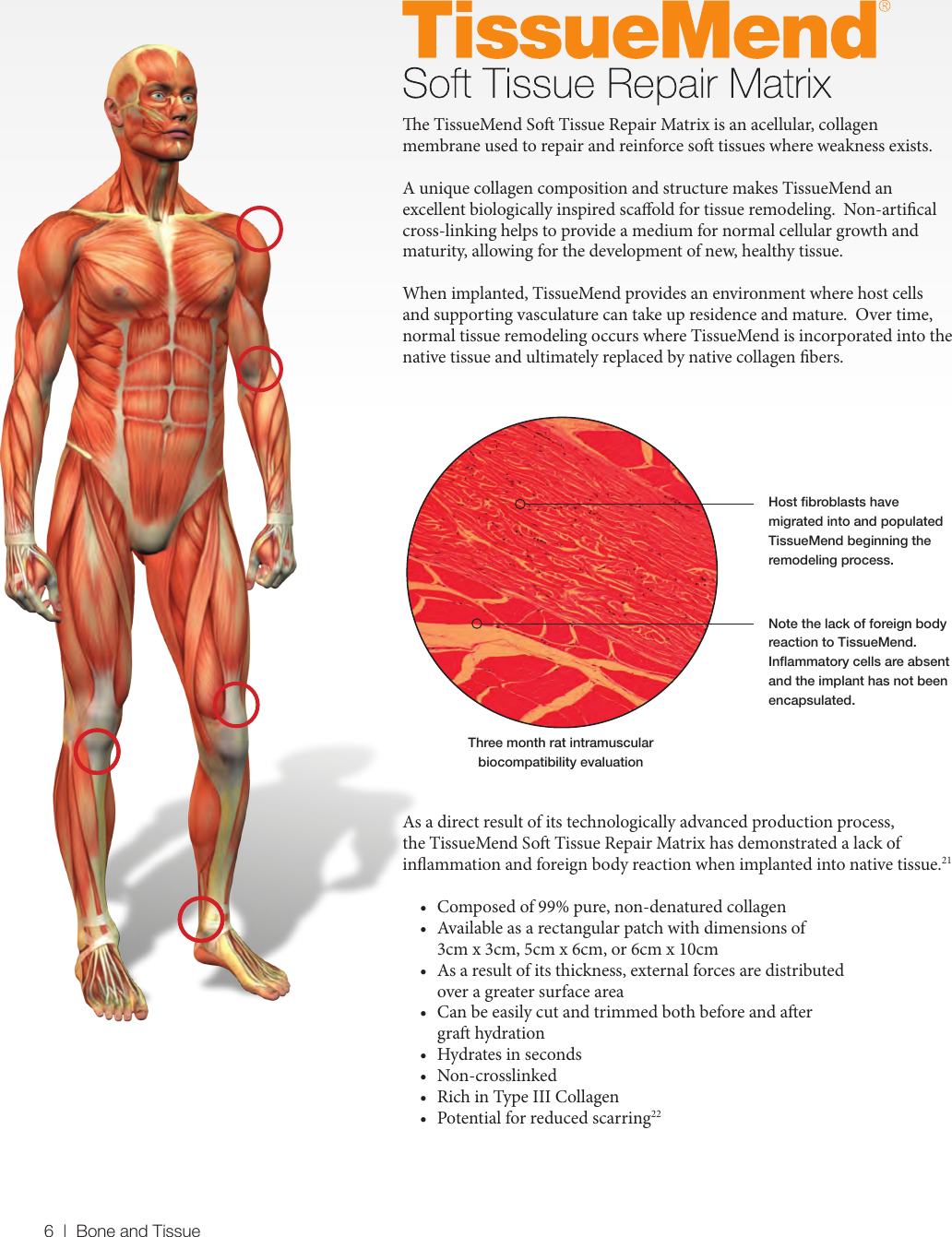 Page 6 of 8 - Foot And Ankle Biologic Solutions 1