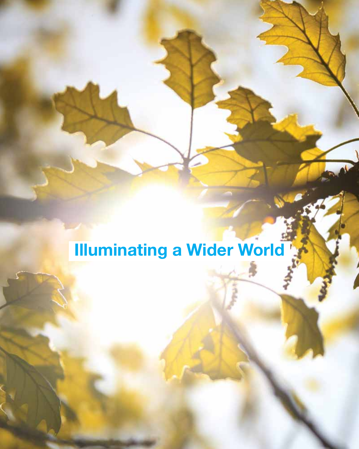 Page 6 of 8 - Opb Member Report