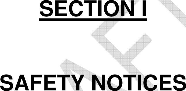           SECTION I   SAFETY NOTICES 