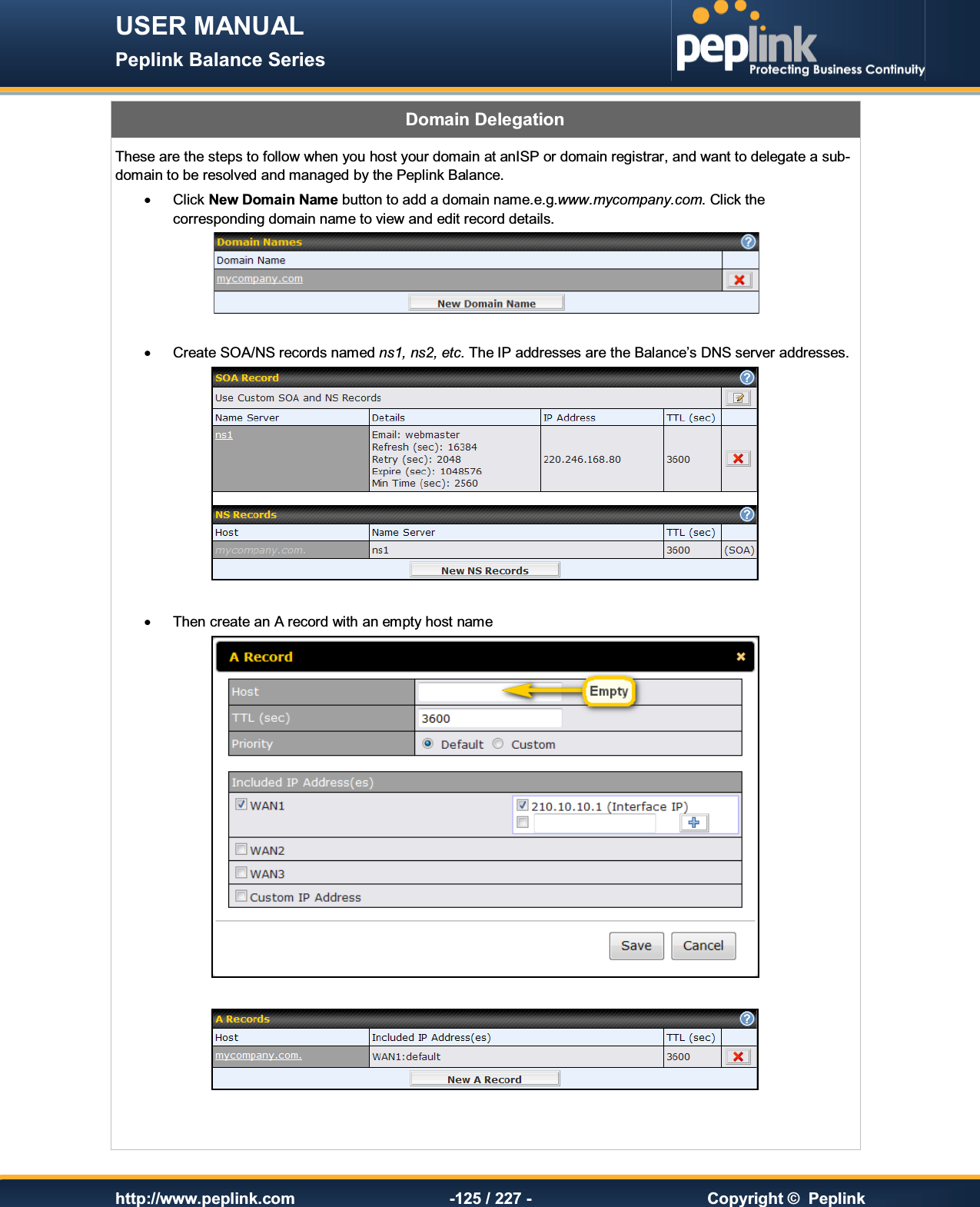 USER MANUAL Peplink Balance Series   http://www.peplink.com -125 / 227 -  Copyright ©  Peplink Domain Delegation These are the steps to follow when you host your domain at anISP or domain registrar, and want to delegate a sub-domain to be resolved and managed by the Peplink Balance.   ·  Click New Domain Name button to add a domain name.e.g.www.mycompany.com. Click the corresponding domain name to view and edit record details.   ·  Create SOA/NS records named ns1, ns2, etc. The IP addresses are the Balance’s DNS server addresses.   ·  Then create an A record with an empty host name      