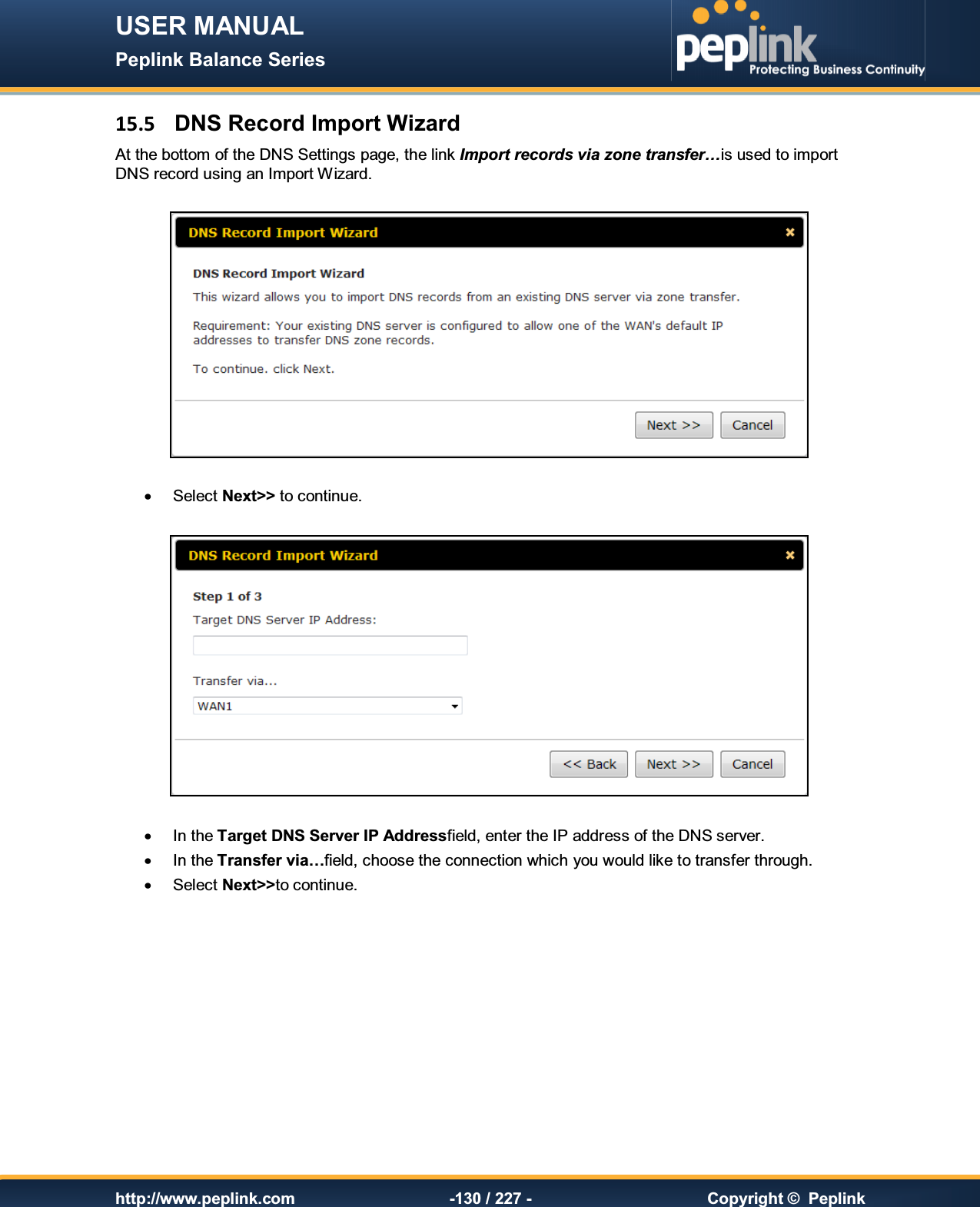 USER MANUAL Peplink Balance Series   http://www.peplink.com -130 / 227 -  Copyright ©  Peplink 15.5  DNS Record Import Wizard At the bottom of the DNS Settings page, the link Import records via zone transfer…is used to import DNS record using an Import Wizard.     ·  Select Next&gt;&gt; to continue.    ·  In the Target DNS Server IP Addressfield, enter the IP address of the DNS server. ·  In the Transfer via…field, choose the connection which you would like to transfer through. ·  Select Next&gt;&gt;to continue. 