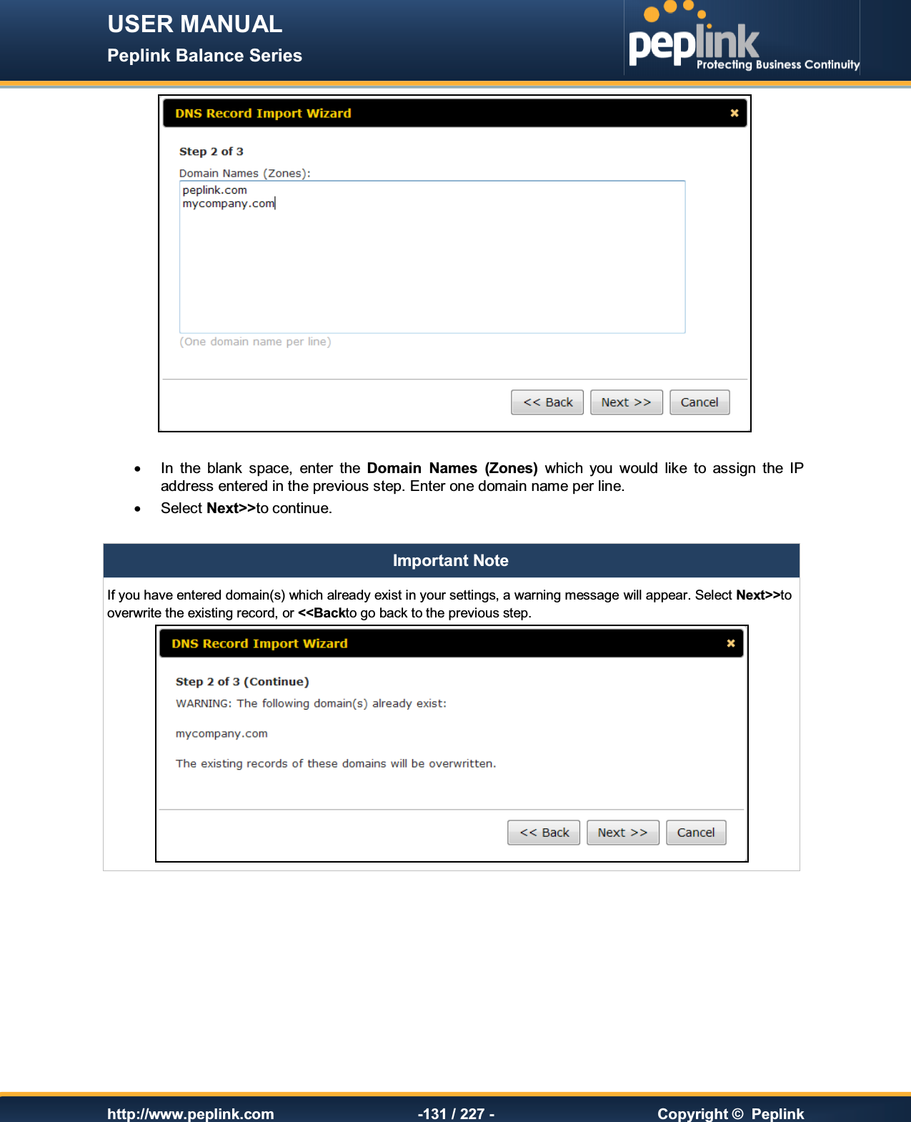 USER MANUAL Peplink Balance Series   http://www.peplink.com -131 / 227 -  Copyright ©  Peplink   ·  In  the  blank  space,  enter  the  Domain  Names  (Zones)  which  you  would  like  to  assign  the  IP address entered in the previous step. Enter one domain name per line. ·  Select Next&gt;&gt;to continue.  Important Note If you have entered domain(s) which already exist in your settings, a warning message will appear. Select Next&gt;&gt;to overwrite the existing record, or &lt;&lt;Backto go back to the previous step.  