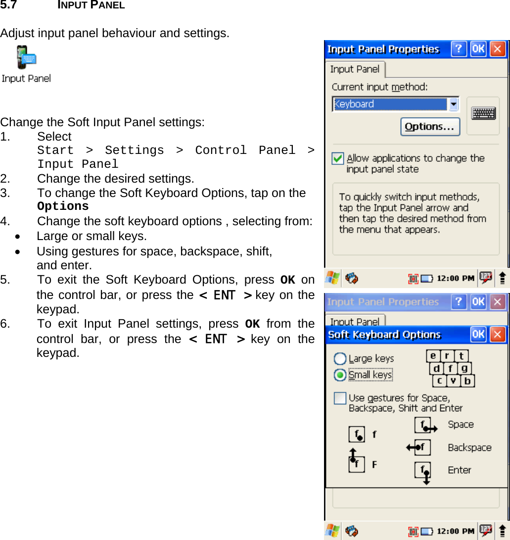 User manual  PM250 © All rights reserved. Pointmobile     30  5.7 INPUT PANEL  Adjust input panel behaviour and settings.    Change the Soft Input Panel settings: 1. Select  Start &gt; Settings &gt; Control Panel &gt; Input Panel 2.  Change the desired settings. 3.  To change the Soft Keyboard Options, tap on the Options 4.  Change the soft keyboard options , selecting from: •  Large or small keys. •  Using gestures for space, backspace, shift,   and enter. 5.  To exit the Soft Keyboard Options, press OK on the control bar, or press the &lt; ENT &gt; key on the keypad. 6.  To exit Input Panel settings, press OK from the control bar, or press the &lt; ENT &gt; key on the keypad.  