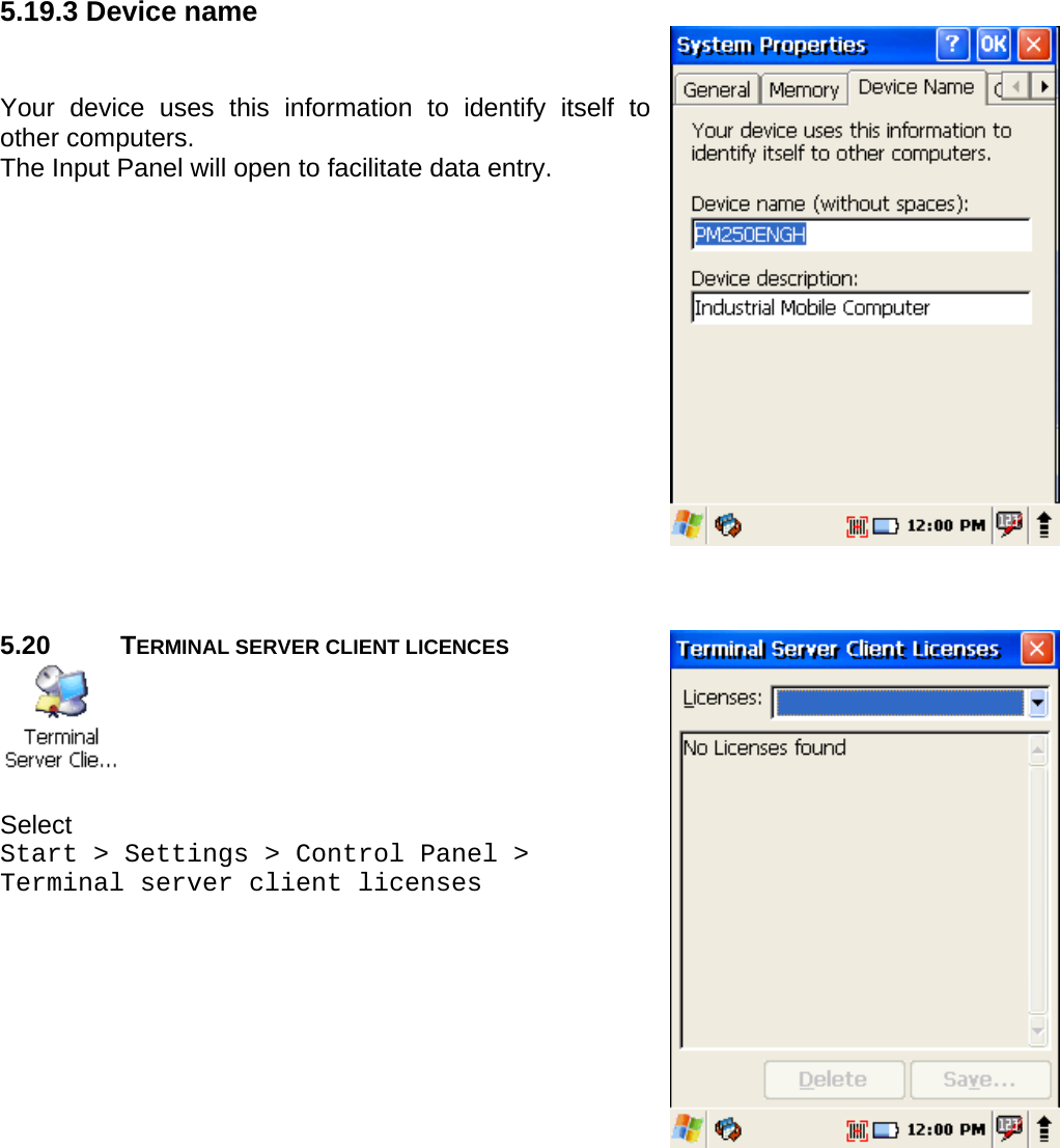 User manual  PM250 © All rights reserved. Pointmobile     49  5.19.3 Device name    Your device uses this information to identify itself to other computers. The Input Panel will open to facilitate data entry.                5.20 TERMINAL SERVER CLIENT LICENCES   Select  Start &gt; Settings &gt; Control Panel &gt;  Terminal server client licenses    