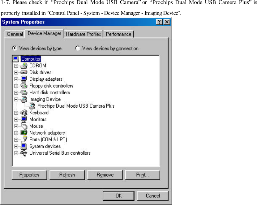 1-7. Please check if  “Prochips Dual Mode USB Camera” or  “Prochips Dual Mode USB Camera Plus” is properly installed in “Control Panel - System - Device Manager - Imaging Device”.                  