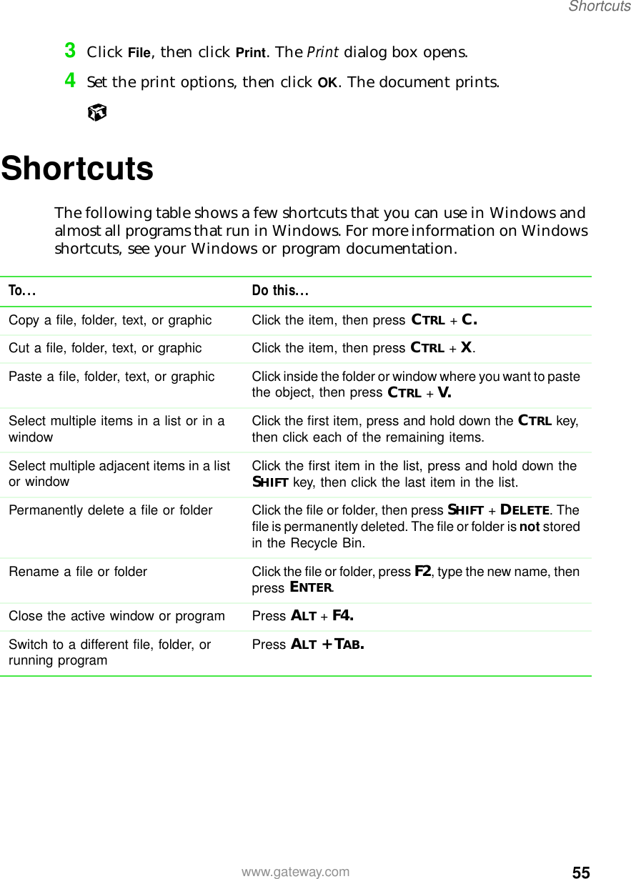 55Shortcutswww.gateway.com3Click File, then click Print. The Print dialog box opens.4Set the print options, then click OK. The document prints.ShortcutsThe following table shows a few shortcuts that you can use in Windows and almost all programs that run in Windows. For more information on Windows shortcuts, see your Windows or program documentation.To... Do this...Copy a file, folder, text, or graphic Click the item, then press CTRL +C.Cut a file, folder, text, or graphic Click the item, then press CTRL +X.Paste a file,  folder,  text, or graphic Click inside the folder or window where you want to paste the object, then press CTRL +V.Select multiple items in a list or in a window Click the first item, press and hold down the CTRL key, then click each of the remaining items.Select multiple adjacent items in a list or window Click the first item in the list, press and hold down the SHIFT key, then click the last item in the list.Permanently delete a file or folder Click the file or folder, then press SHIFT +DELETE. The file is permanently deleted. The file or folder is not stored in the Recycle Bin.Rename a file or  folder Click the file or folder, press F2, type the new name, then press ENTER.Close the active window or program Press ALT +F4.Switch to a different file, folder, or running program Press ALT +TAB.