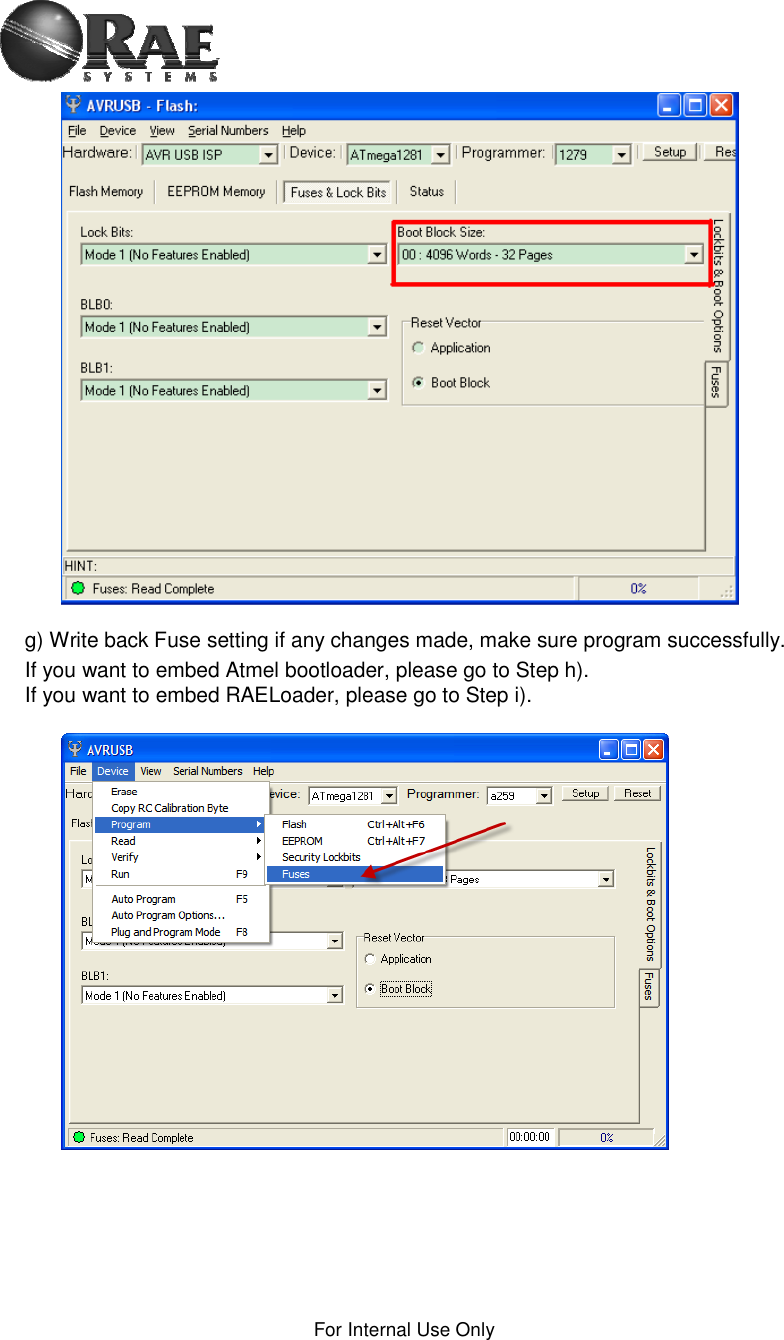 For Internal Use Only g) Write back Fuse setting if any changes made, make sure program successfully. If you want to embed Atmel bootloader, please go to Step h). If you want to embed RAELoader, please go to Step i). 