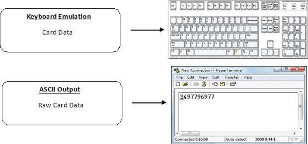  ID Card Reader System                              Output Formats    