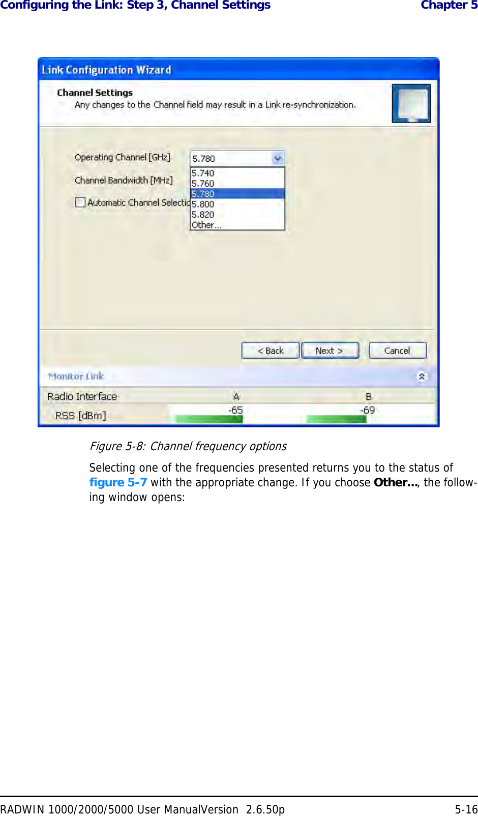 Configuring the Link: Step 3, Channel Settings  Chapter 5RADWIN 1000/2000/5000 User ManualVersion  2.6.50p 5-16Figure 5-8: Channel frequency optionsSelecting one of the frequencies presented returns you to the status of figure 5-7 with the appropriate change. If you choose Other..., the follow-ing window opens: