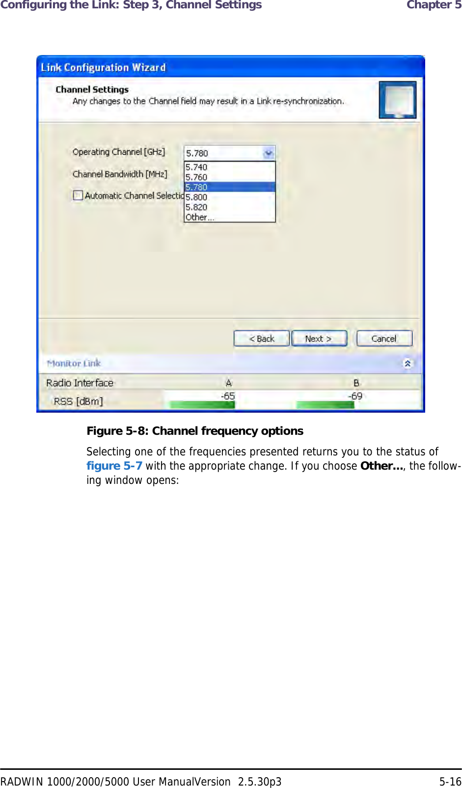 Configuring the Link: Step 3, Channel Settings  Chapter 5RADWIN 1000/2000/5000 User ManualVersion  2.5.30p3 5-16Figure 5-8: Channel frequency optionsSelecting one of the frequencies presented returns you to the status of figure 5-7 with the appropriate change. If you choose Other..., the follow-ing window opens: