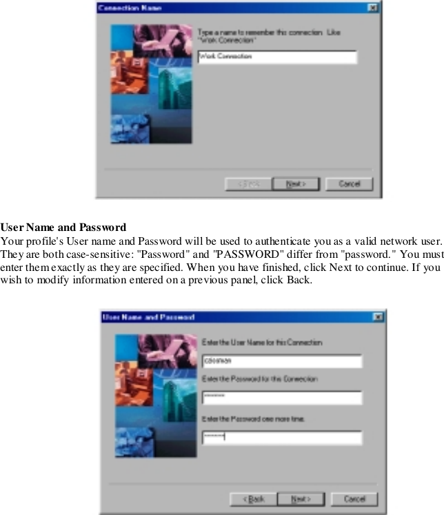 User Name and PasswordYour profile&apos;s User name and Password will be used to authenticate you as a valid network user.They are both case-sensitive: &quot;Password&quot; and &quot;PASSWORD&quot; differ from &quot;password.&quot; You mustenter them exactly as they are specified. When you have finished, click Next to continue. If youwish to modify information entered on a previous panel, click Back.