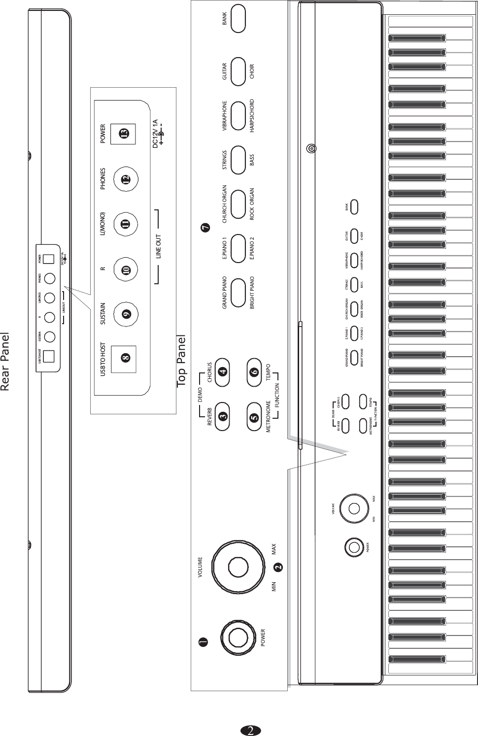 USB TO HOST SUSTAIN LINE OUTPHONESRDC12V 1APOWERL(MONO) LINE OUT DC12V 1AUSB TO HOST SUSTAIN PHONESRPOWERL(MONO)