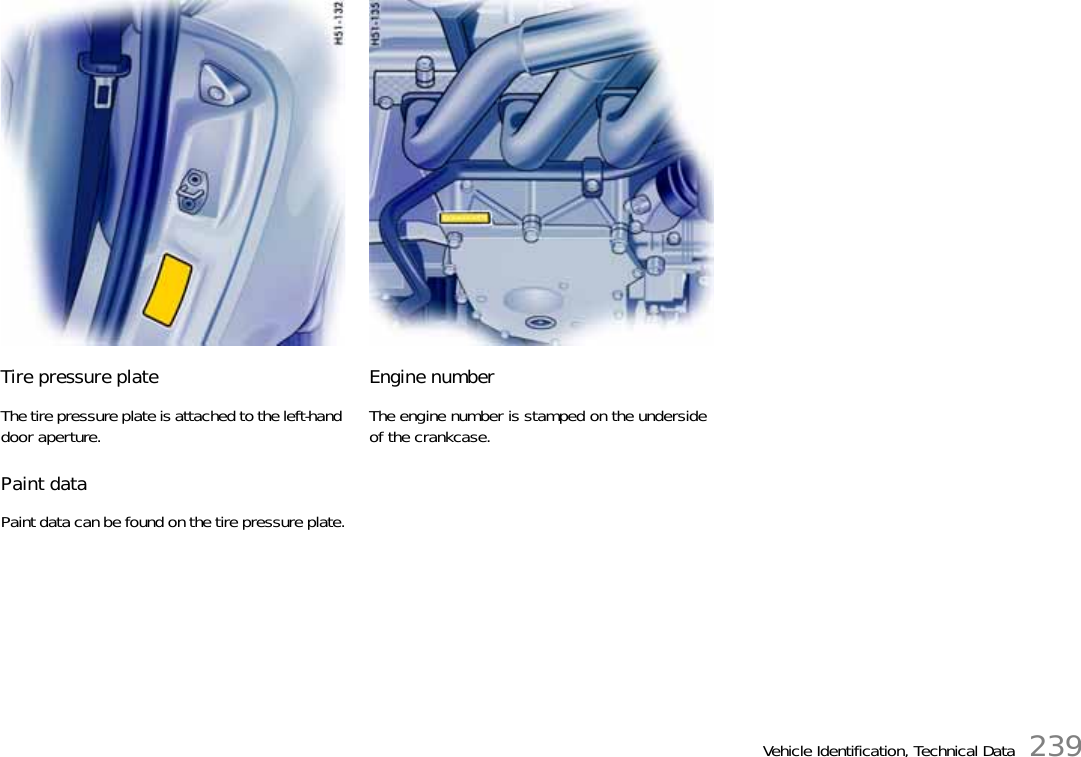 Vehicle Identification, Technical Data 239Tire pressure plateThe tire pressure plate is attached to the left-hand door aperture.Paint dataPaint data can be found on the tire pressure plate.Engine number The engine number is stamped on the underside of the crankcase. 