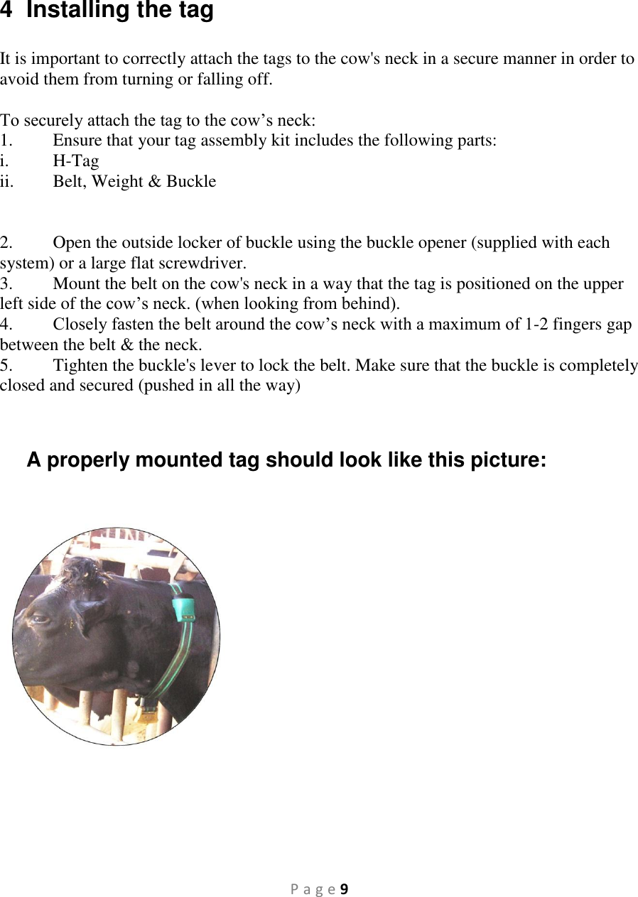 P a g e 9    4  Installing the tag  It is important to correctly attach the tags to the cow&apos;s neck in a secure manner in order to avoid them from turning or falling off.  To securely attach the tag to the cow’s neck: 1.  Ensure that your tag assembly kit includes the following parts:  i.  H-Tag ii.  Belt, Weight &amp; Buckle   2.  Open the outside locker of buckle using the buckle opener (supplied with each system) or a large flat screwdriver. 3.  Mount the belt on the cow&apos;s neck in a way that the tag is positioned on the upper left side of the cow’s neck. (when looking from behind). 4.  Closely fasten the belt around the cow’s neck with a maximum of 1-2 fingers gap between the belt &amp; the neck.  5.  Tighten the buckle&apos;s lever to lock the belt. Make sure that the buckle is completely closed and secured (pushed in all the way)   A properly mounted tag should look like this picture:     