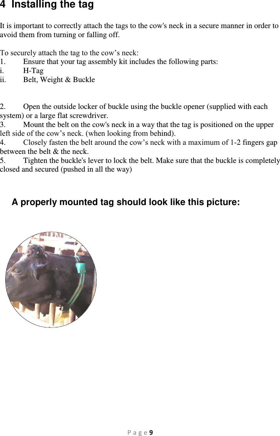 P a g e 9 4  Installing the tag  It is important to correctly attach the tags to the cow&apos;s neck in a secure manner in order to avoid them from turning or falling off.  To securely attach the tag to the cow’s neck: 1.  Ensure that your tag assembly kit includes the following parts:  i.  H-Tag ii.  Belt, Weight &amp; Buckle   2.  Open the outside locker of buckle using the buckle opener (supplied with each system) or a large flat screwdriver. 3.  Mount the belt on the cow&apos;s neck in a way that the tag is positioned on the upper left side of the cow’s neck. (when looking from behind). 4.  Closely fasten the belt around the cow’s neck with a maximum of 1-2 fingers gap between the belt &amp; the neck.  5.  Tighten the buckle&apos;s lever to lock the belt. Make sure that the buckle is completely closed and secured (pushed in all the way)   A properly mounted tag should look like this picture:     