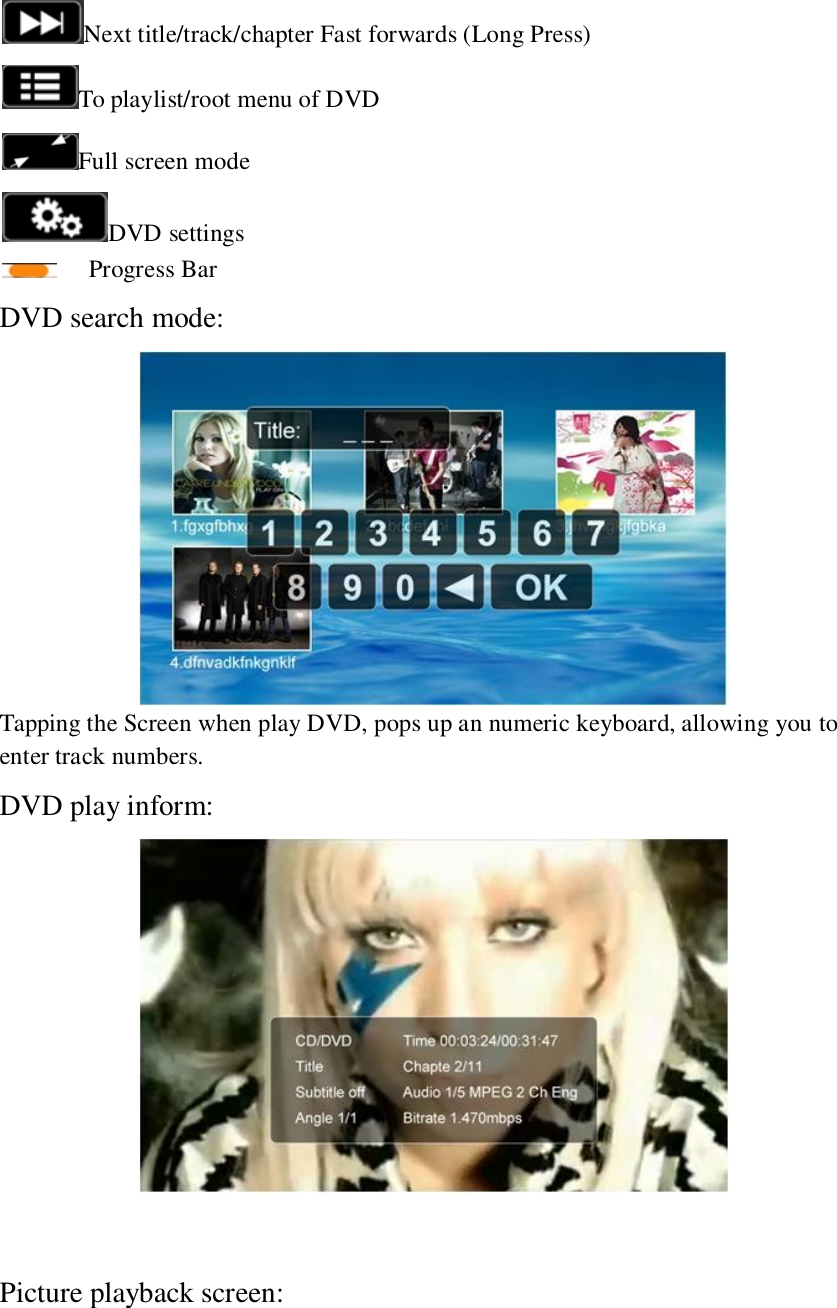  Next title/track/chapter Fast forwards (Long Press) To playlist/root menu of DVD Full screen mode DVD settings   Progress Bar DVD search mode:  Tapping the Screen when play DVD, pops up an numeric keyboard, allowing you to enter track numbers.   DVD play inform:   Picture playback screen: 
