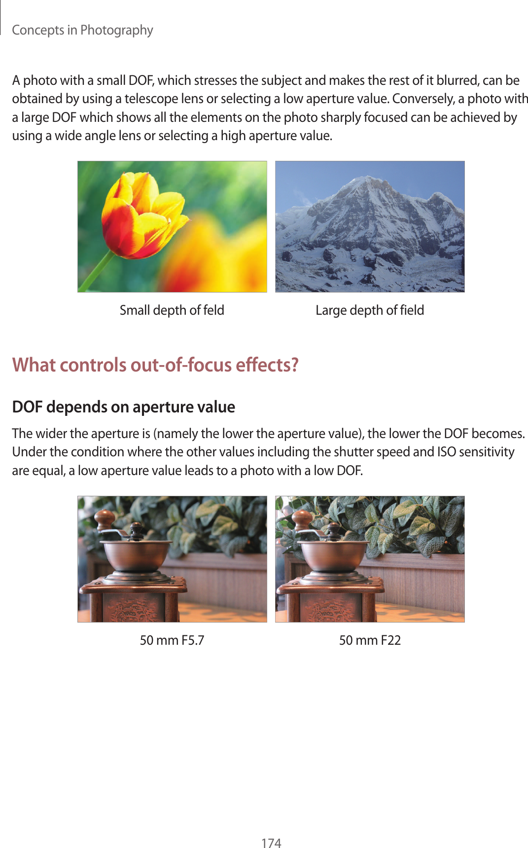 Concepts in Photography174A photo with a small DOF, which stresses the subject and makes the rest of it blurred, can be obtained by using a telescope lens or selecting a low aperture value. Conversely, a photo with a large DOF which shows all the elements on the photo sharply focused can be achieved by using a wide angle lens or selecting a high aperture value.Small depth of feld Large depth of fieldWhat controls out-of-focus effects?DOF depends on aperture valueThe wider the aperture is (namely the lower the aperture value), the lower the DOF becomes. Under the condition where the other values including the shutter speed and ISO sensitivity are equal, a low aperture value leads to a photo with a low DOF.50 mm F5.7 50 mm F22