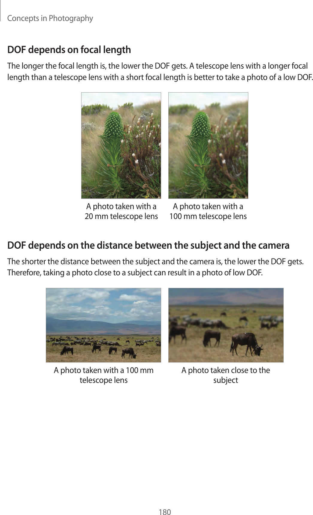 Concepts in Photography180DOF depends on focal lengthThe longer the focal length is, the lower the DOF gets. A telescope lens with a longer focal length than a telescope lens with a short focal length is better to take a photo of a low DOF.A photo taken with a 20 mm telescope lensA photo taken with a 100 mm telescope lensDOF depends on the distance between the subject and the cameraThe shorter the distance between the subject and the camera is, the lower the DOF gets. Therefore, taking a photo close to a subject can result in a photo of low DOF.A photo taken with a 100 mm telescope lensA photo taken close to the subject
