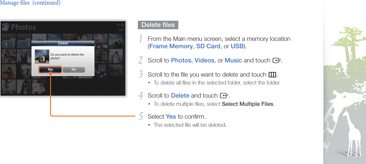 Browse and manage multimedia31  Delete ﬁles  From the Main menu screen, select a memory location 1 (Frame Memory, SD Card, or USB).Scroll to 2 Photos, Videos, or Music and touch e.Scroll to the ﬁle you want to delete and touch 3 m.To delete all ﬁles in the selected folder, select the folder.•Scroll to 4 Delete and touch e.To delete multiple ﬁles, select • Select Multiple Files.Select 5 Yes to conﬁrm.The selected ﬁle will be deleted.•Manage les  (continued)DeleteDo you want to delete the photo?Yes NoPhotos