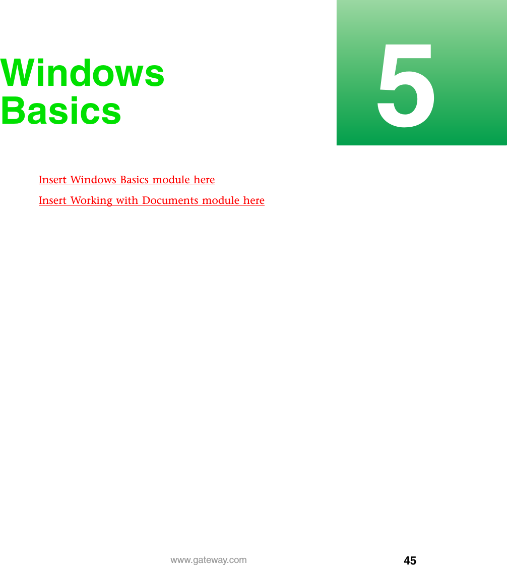 455www.gateway.comWindows BasicsInsert Windows Basics module hereInsert Working with Documents module here