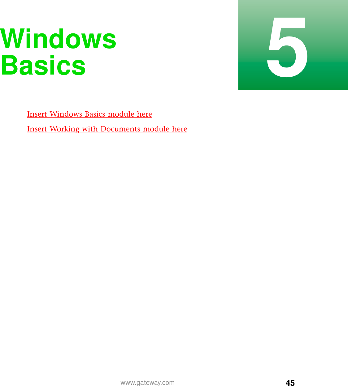 455www.gateway.comWindows BasicsInsert Windows Basics module hereInsert Working with Documents module here