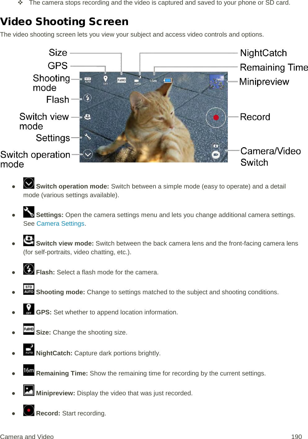  The camera stops recording and the video is captured and saved to your phone or SD card. Video Shooting Screen The video shooting screen lets you view your subject and access video controls and options.   ●   Switch operation mode: Switch between a simple mode (easy to operate) and a detail mode (various settings available). ●   Settings: Open the camera settings menu and lets you change additional camera settings. See Camera Settings. ●  Switch view mode: Switch between the back camera lens and the front-facing camera lens (for self-portraits, video chatting, etc.). ●  Flash: Select a flash mode for the camera. ●   Shooting mode: Change to settings matched to the subject and shooting conditions. ●   GPS: Set whether to append location information. ●   Size: Change the shooting size. ●   NightCatch: Capture dark portions brightly. ●   Remaining Time: Show the remaining time for recording by the current settings. ●   Minipreview: Display the video that was just recorded. ●   Record: Start recording. Camera and Video 190 