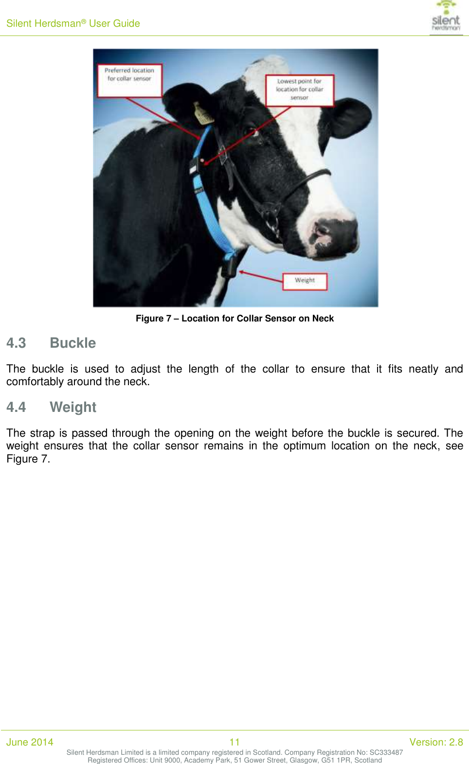 Silent Herdsman&reg; User Guide   June 2014 11 Version: 2.8 Silent Herdsman Limited is a limited company registered in Scotland. Company Registration No: SC333487 Registered Offices: Unit 9000, Academy Park, 51 Gower Street, Glasgow, G51 1PR, Scotland   Figure 7 &ndash; Location for Collar Sensor on Neck 4.3 Buckle The  buckle  is  used  to  adjust  the  length  of  the  collar  to  ensure  that  it  fits  neatly  and comfortably around the neck. 4.4 Weight The strap is passed through the opening on the weight before the buckle is secured. The weight  ensures  that  the  collar  sensor  remains  in  the  optimum  location  on  the  neck,  see Figure 7.  