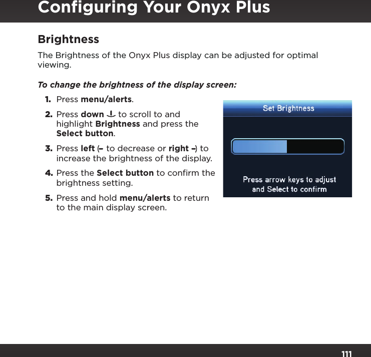 Page 111 of Sirius XM Radio SXPL2 Onyx PLUS G7.5 User Manual Onyx Plus G75 with Vehicle Kit User Guide indd