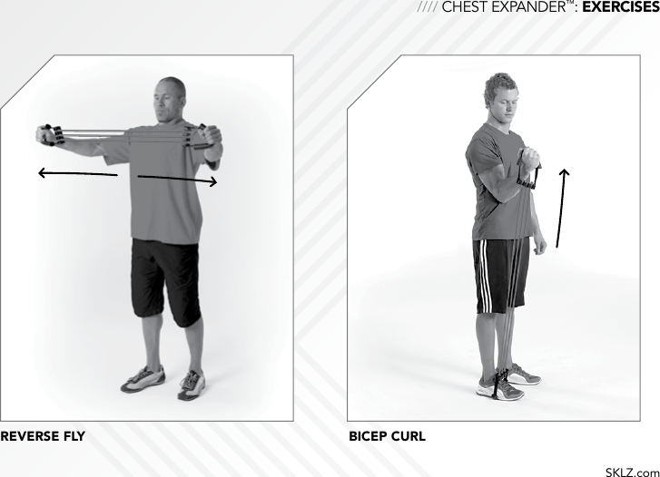 Chest Expander Exercise Chart Pdf