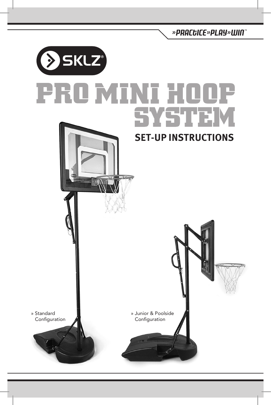 Pro Mini Hoop System