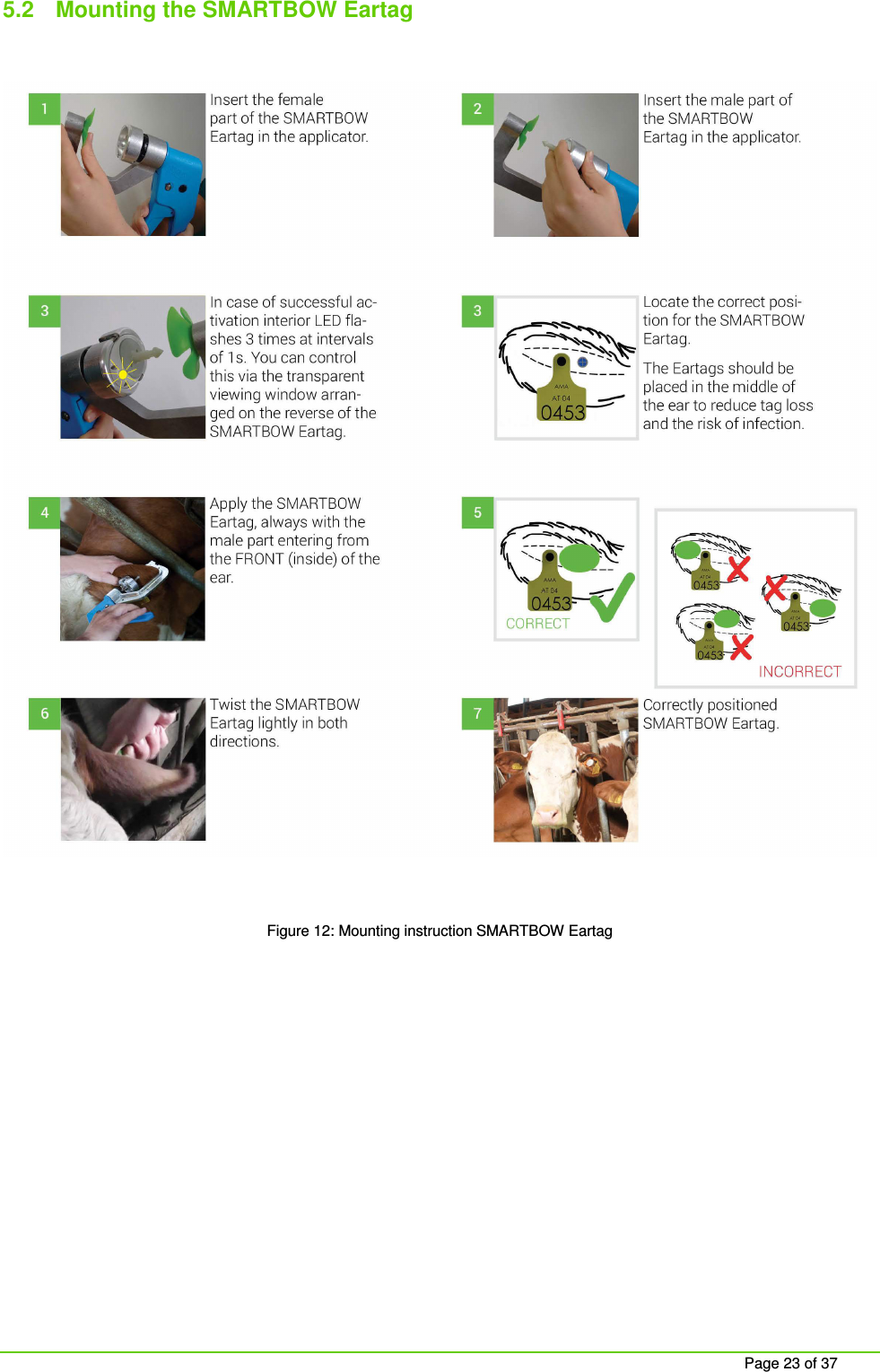     Page 23 of 37 5.2  Mounting the SMARTBOW Eartag    Figure 12: Mounting instruction SMARTBOW Eartag   