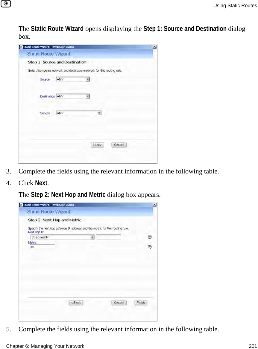 Using Static Routes Chapter 6: Managing Your Network 201 The Static Route Wizard opens displaying the Step 1: Source and Destination dialog box. 3. Complete the fields using the relevant information in the following table. 4. Click Next. The Step 2: Next Hop and Metric dialog box appears. 5. Complete the fields using the relevant information in the following table.