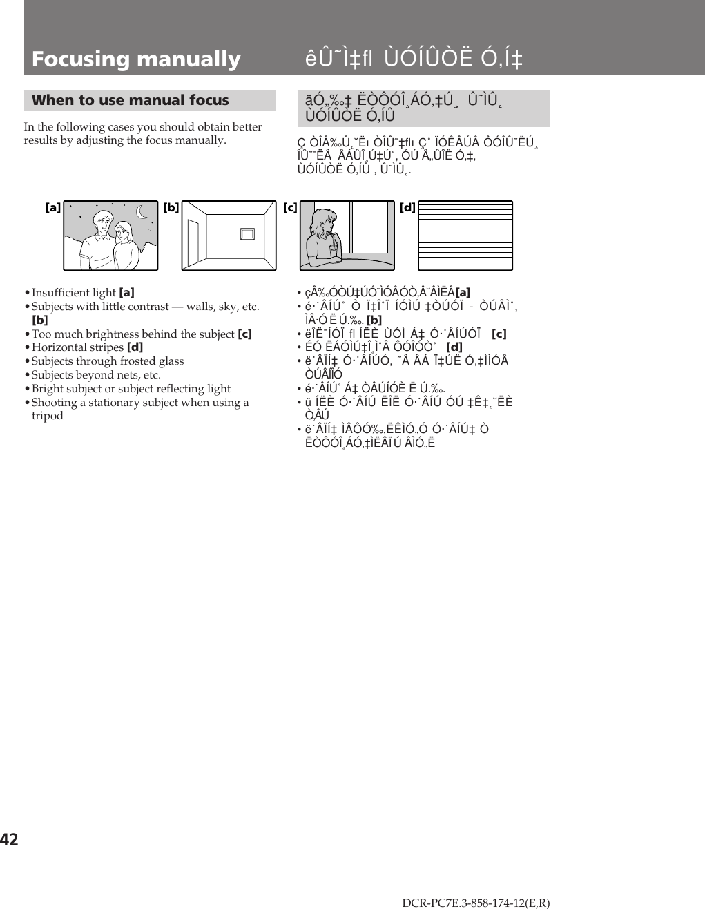 Sony Dcr Pc7e Users Manual