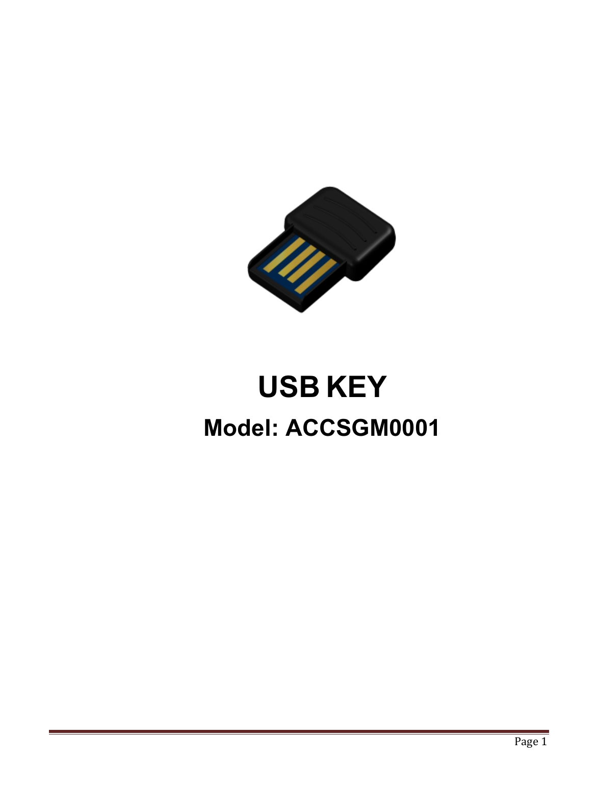   Page 1                 USB KEY Model: ACCSGM0001          