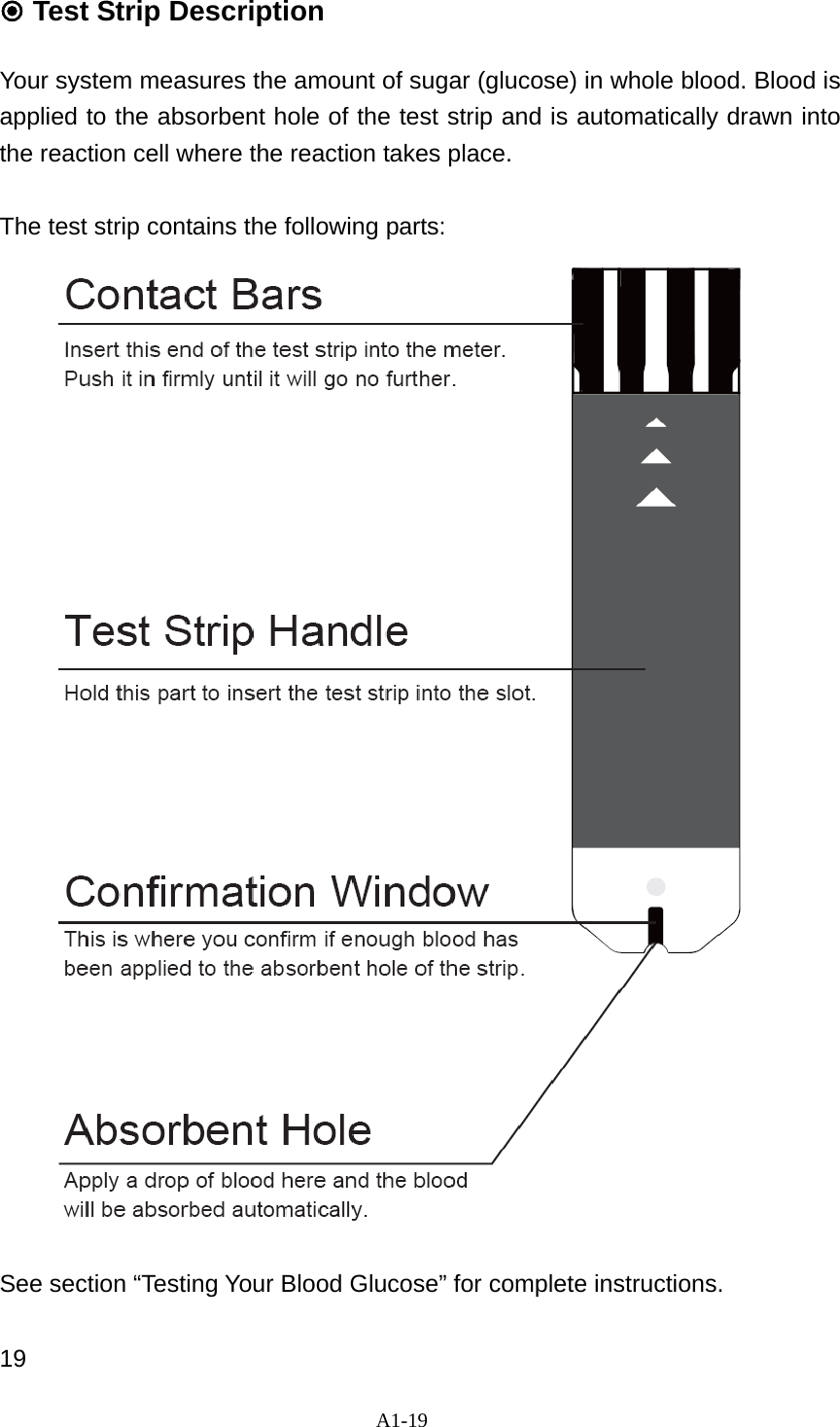 A1-19   Test Strip Description  Your system measures the amount of sugar (glucose) in whole blood. Blood is applied to the absorbent hole of the test strip and is automatically drawn into the reaction cell where the reaction takes place.    The test strip contains the following parts:                             See section &ldquo;Testing Your Blood Glucose&rdquo; for complete instructions.  19 