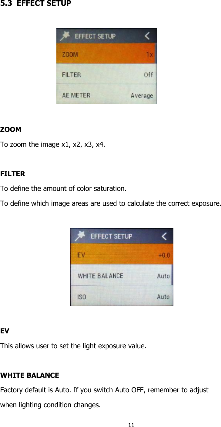 11   5.3  EFFECT SETUP    ZOOM To zoom the image x1, x2, x3, x4.  FILTER To define the amount of color saturation. To define which image areas are used to calculate the correct exposure.    EV This allows user to set the light exposure value.  WHITE BALANCE Factory default is Auto. If you switch Auto OFF, remember to adjust  when lighting condition changes. 