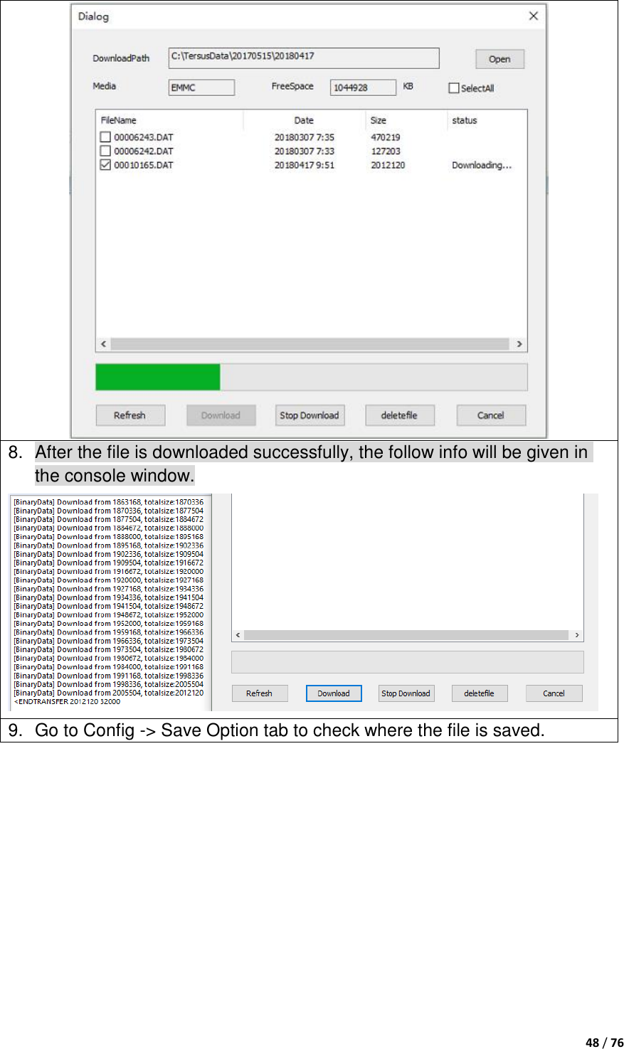  48 / 76   8.  After the file is downloaded successfully, the follow info will be given in the console window.    9.  Go to Config -&gt; Save Option tab to check where the file is saved. 