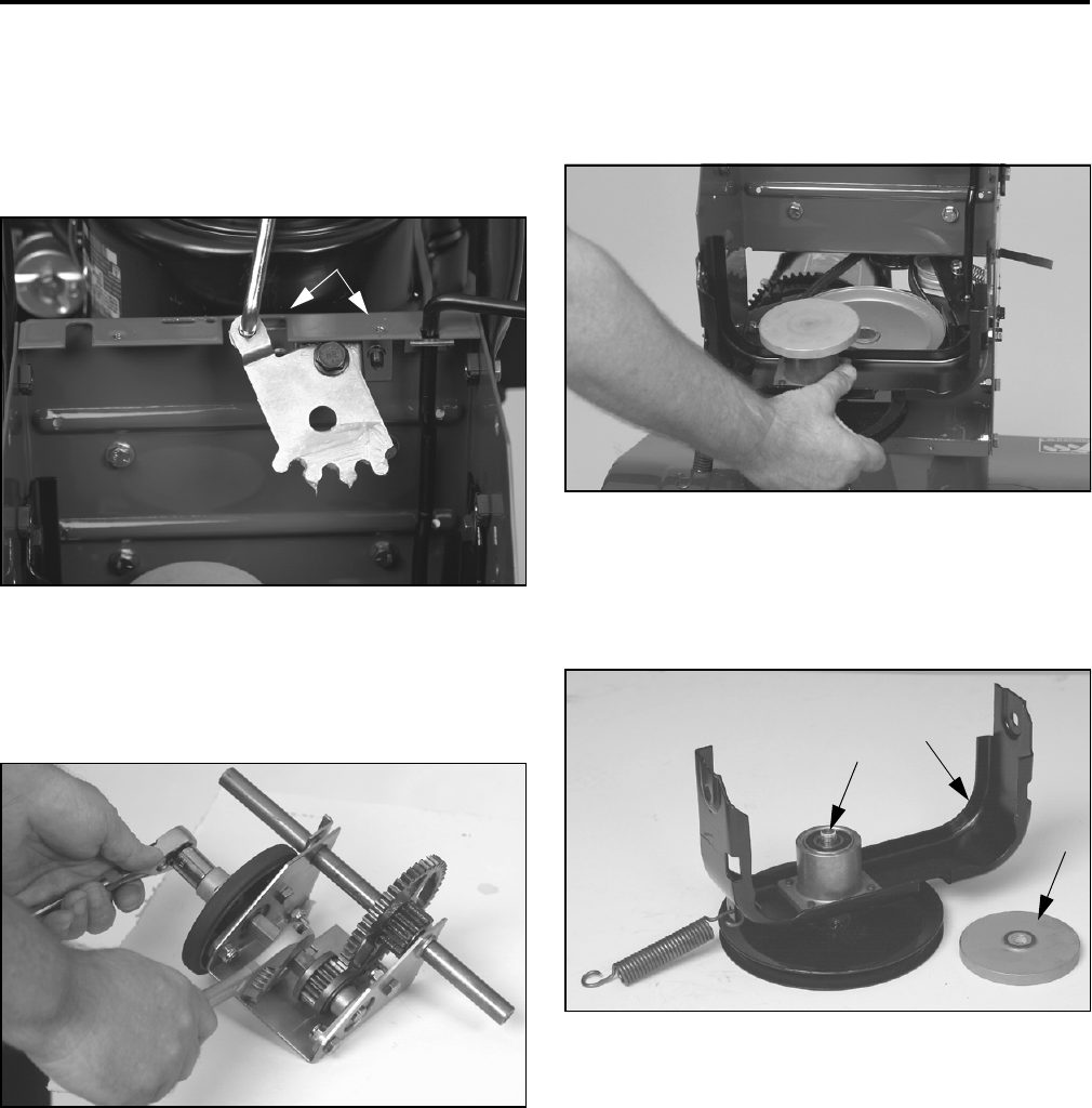 Toro 38065 Users Manual